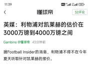 开云体育下载-利物浦客场艰难取胜，久攻不破终获三分