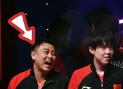 开云官方app入口-比利时乒乓球队绝杀法国乒乓球队，王皓制霸全场的简单介绍