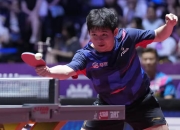 开云体育平台APP-韩国队横扫中国队，樊振东刷新纪录