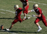 开云官网-从老鹰到雄鹰，当强行终结的基因在2026世界杯赛场觉醒