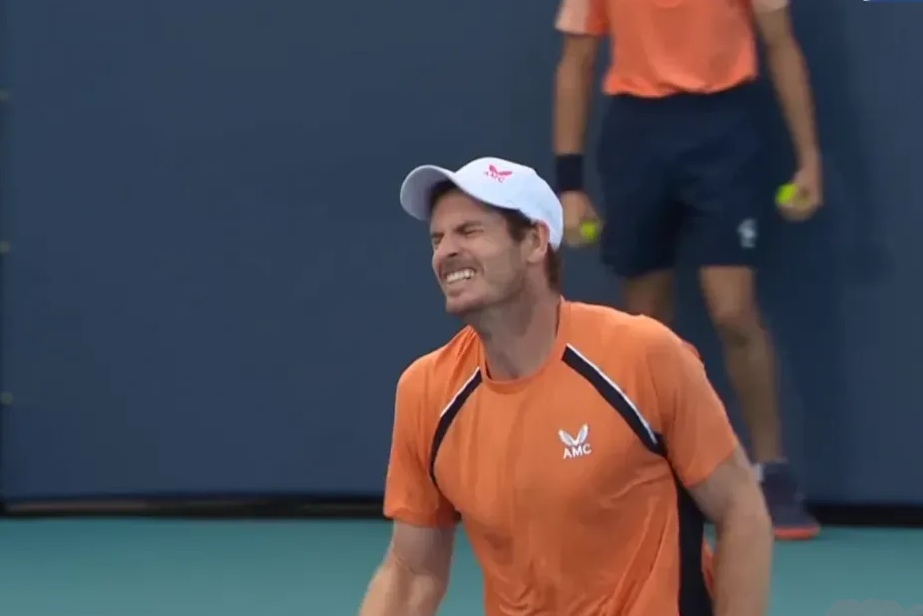 世界网球队鏖战法国网球队，穆雷高光表现的简单介绍