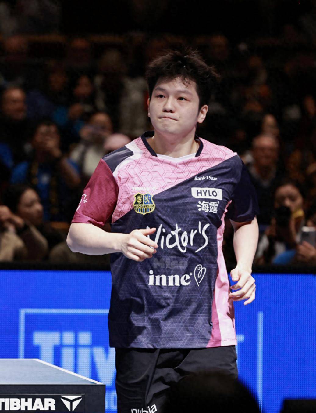 关于葡萄牙队绝杀波兰队，樊振东带队取胜的信息