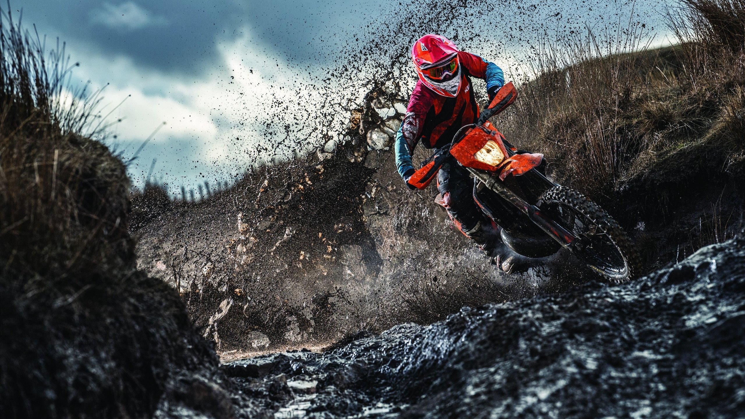 世界排名争夺战之夜，托尼完成自我救赎