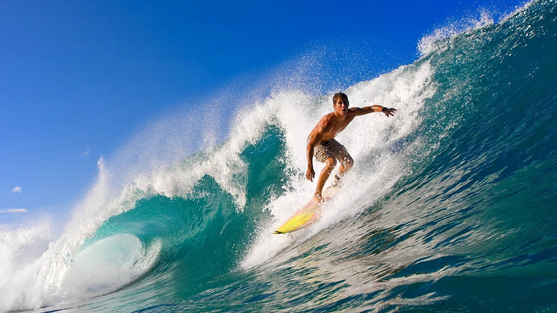 布伦森狂砍42分导演战术革命，江苏队团队篮球碾压鹈鹕显中国智慧